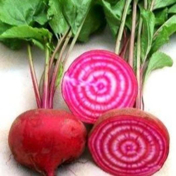 Beetroot - Chioggia - Sow Good Seeds