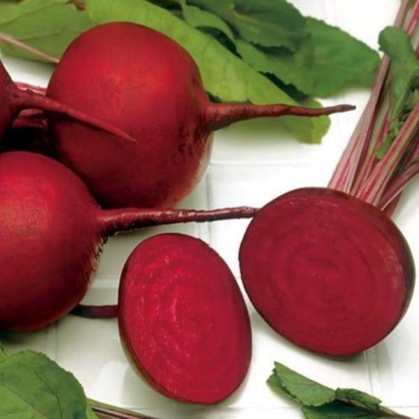 Beetroot - Detroit Red - Sow Good Seeds