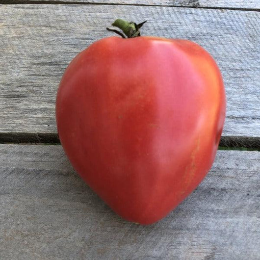 Tomato - Oxheart - Sow Good Seeds